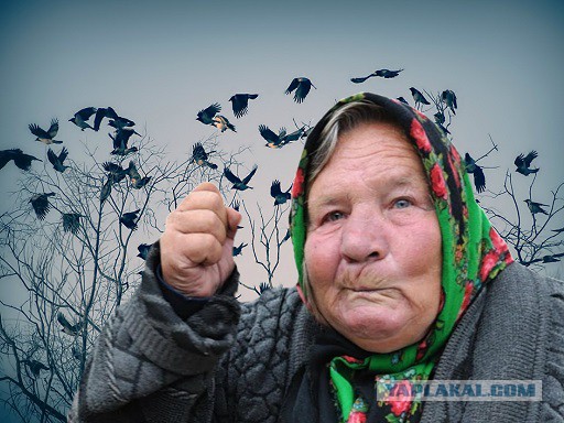 «Не складирую деньги в углах. Яхт и самолетов у меня нет»