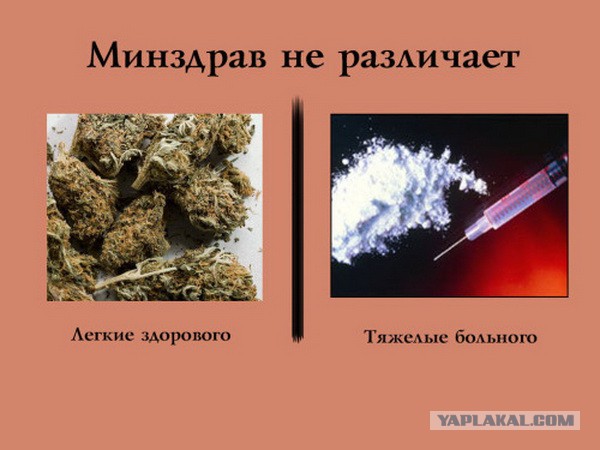 В Нижнем Новгороде полицейские провели спецоперацию по изъятию с прилавков трусов с изображением конопли