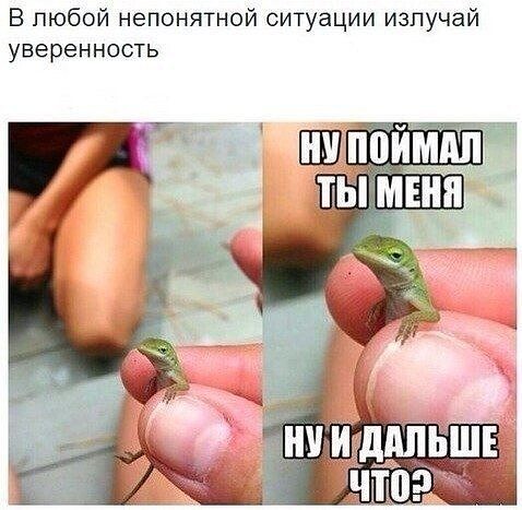 Картинки всякие