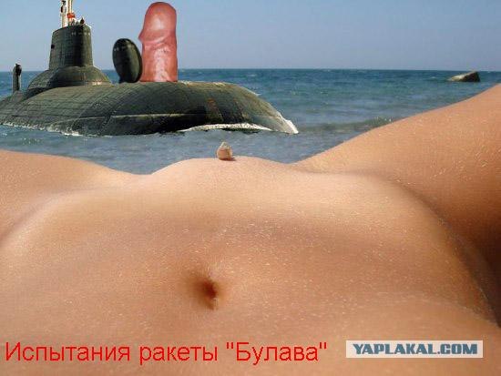 Ракушка и море