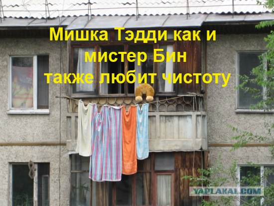 Конкурс: подпись к картинке