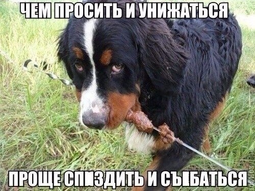 Чуток картинок 01.06.20
