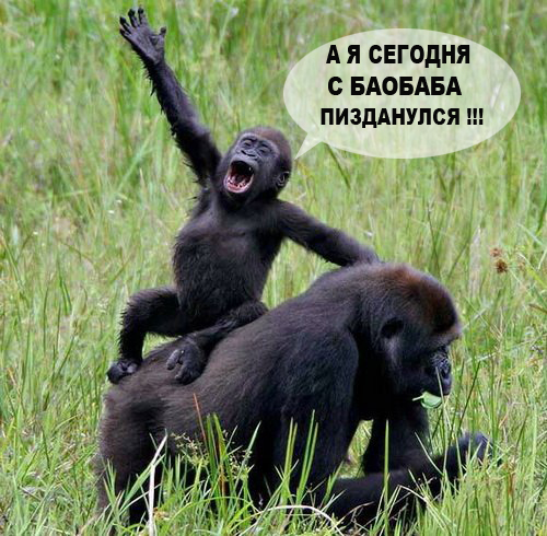Простое человеческое счастье в картинках