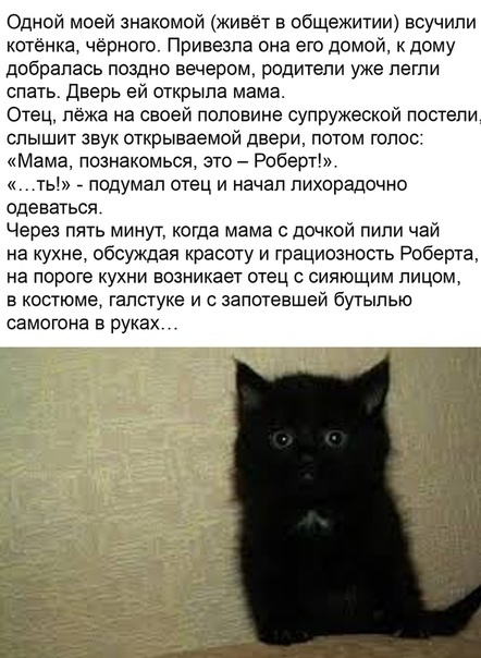 Бредзона 17.07.2020