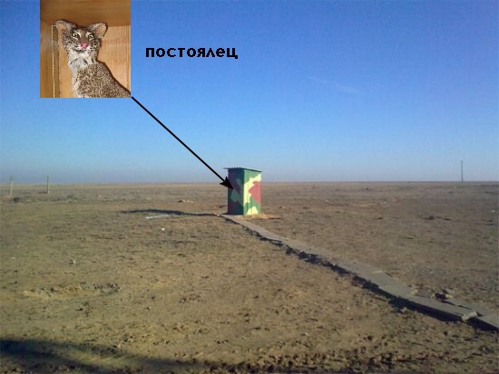 Фотожаба: Стратегический сортир
