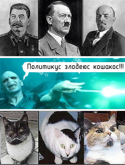 Ярость Волан-де-Морта