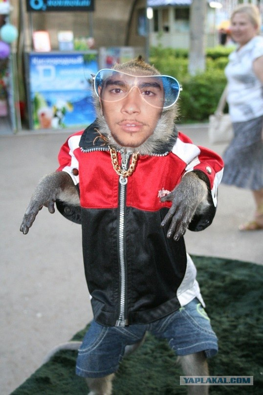 пацаны ваще ребята