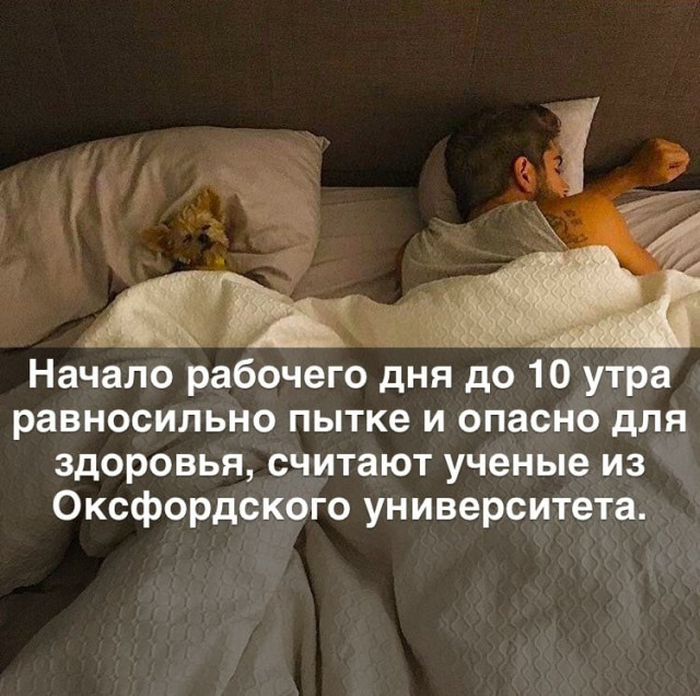 Картинки и мемы для настроения 017
