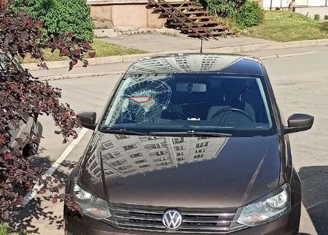Шерлоки есть?