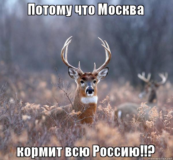 Почему у Москвичей вообще есть льготы и надбавки?