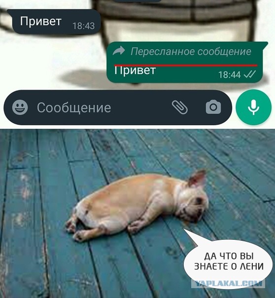 Картинки 04.02.22