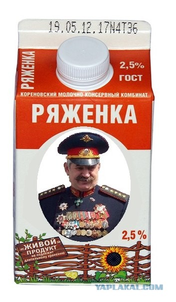 Подмосковные казаки недовольны повышением цен на медали челябинского завода