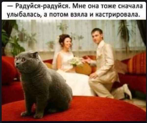Картинки с надписями и всякие жизненные фразы