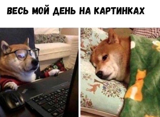 Картинки и мемы для настроения - 19
