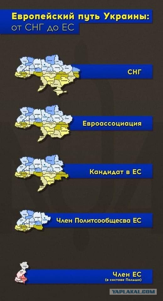 Военные из Мурманской области погибли на Украине
