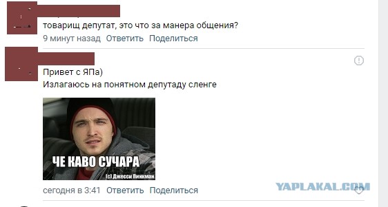 Кстовский депутат угрожал и хамил в чате с жителями после того, как ему задали неудобный вопрос про спил аварийных деревьев