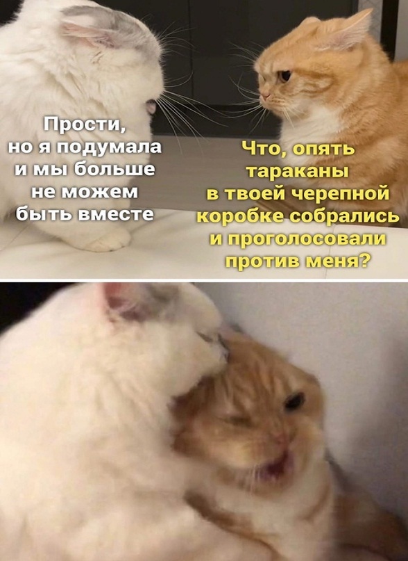 Картинки и мемы для настроения - 21