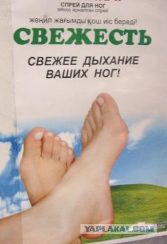 Приколы из Казахстана