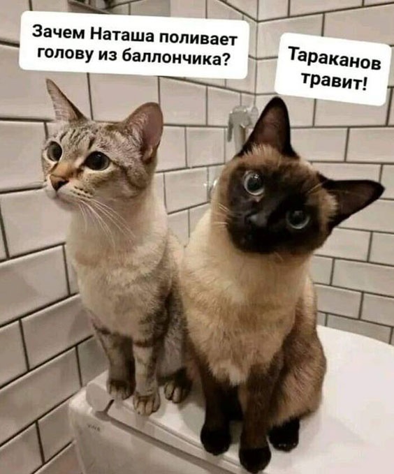 Бес_системы