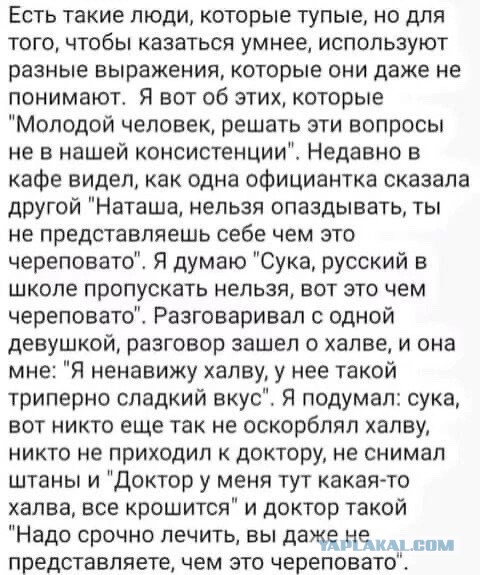 Так себе картинки 28.07.23