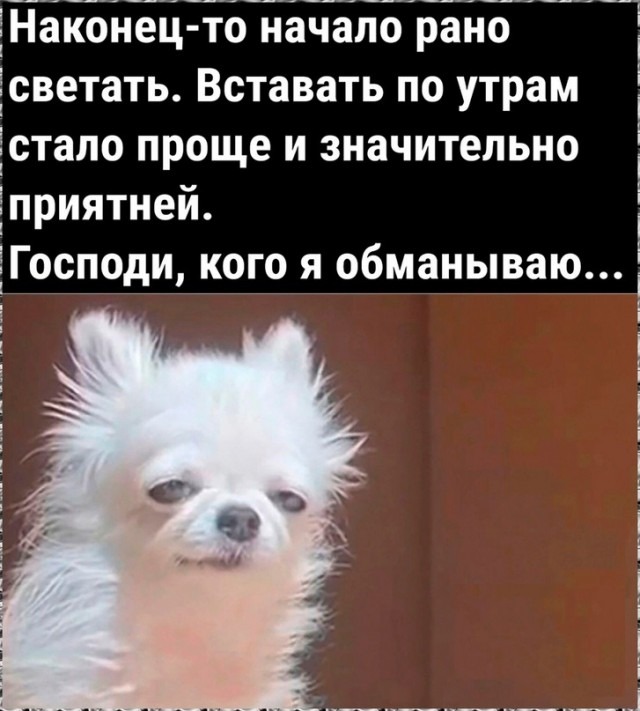 Кулинарная общалка