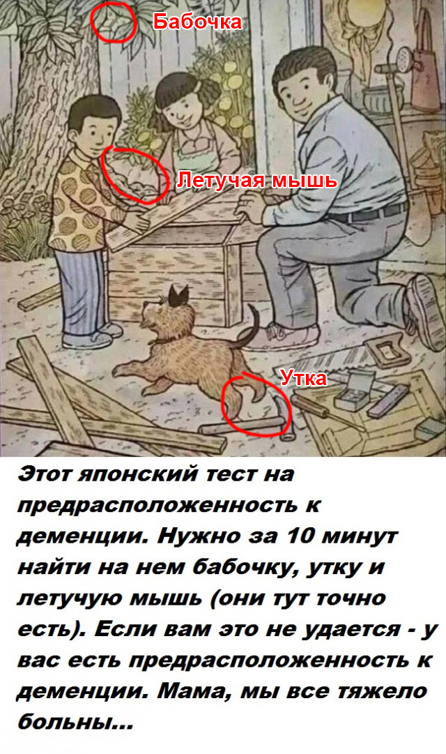 Весёлый полтишок 19.09.24