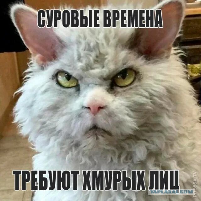 ЯП, давайте быть добрее!