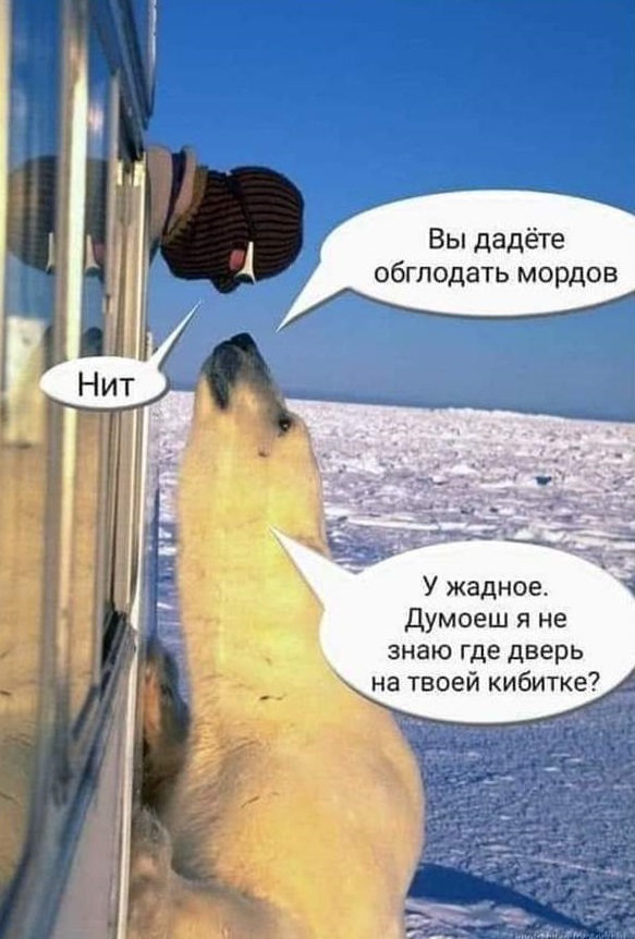 COUB, кубы. Пятница, 13-е...