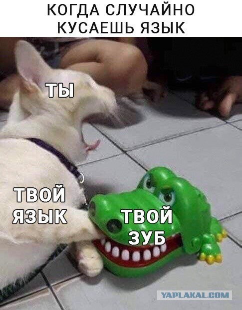 Веселое настроение в картинках 08.08.25