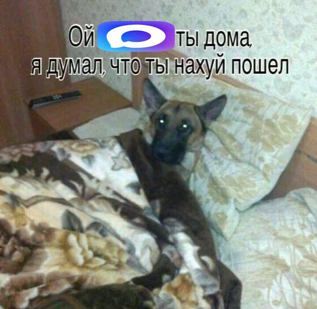 В одном из школьных чатов Московской области