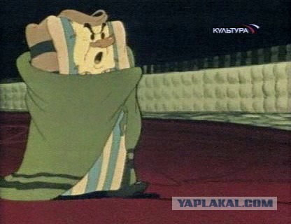 Больной? С травмой? Неее... мы спим!