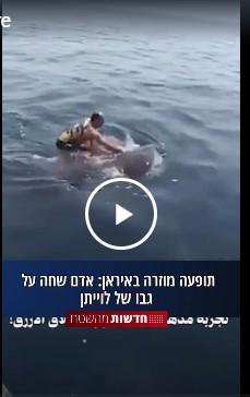 Чел на ките