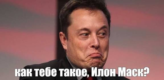 Бездомные собаки будут раздавать бесплатный Wi-Fi в Екатеринбурге