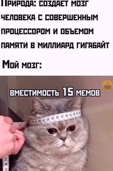 Прикольные и просто красивые картинки 06.02.2026