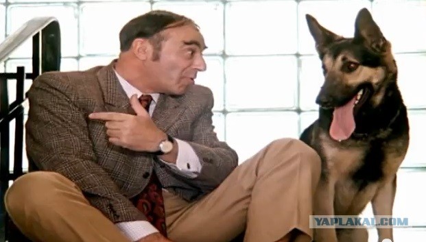 Женщине не продали Chicken McNuggets