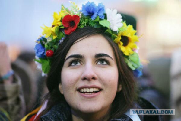 Майдан 2013, Киев