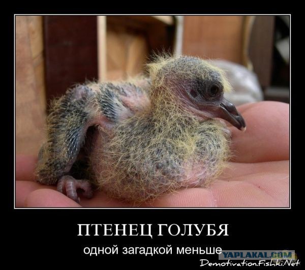 Необычные вещи, которые мало кто видел