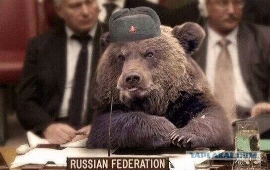 Россия в ООН