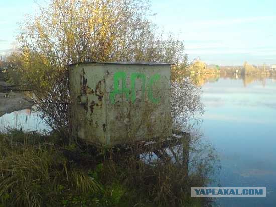 Веселые картинки