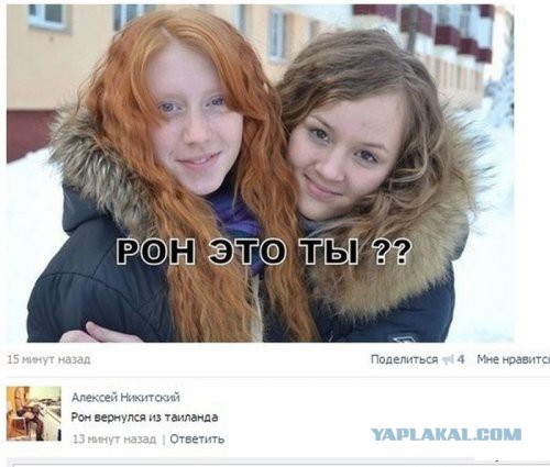 Комментарии из социальных сетей