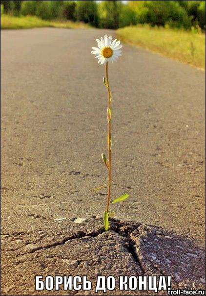 21 фотография, где природа победила цивилизацию