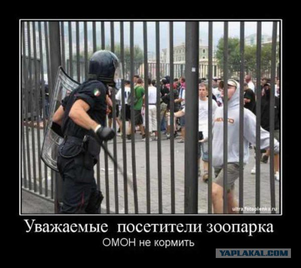 Немного позитива на пятницу