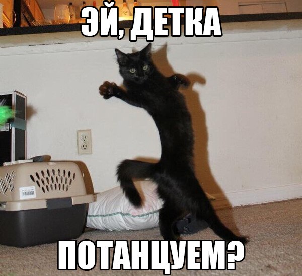 Смешное из сети