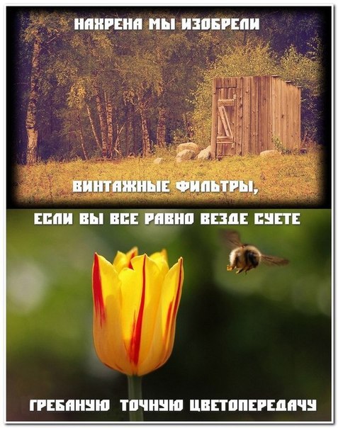 Истина