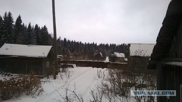 Фото провала в Соликамске