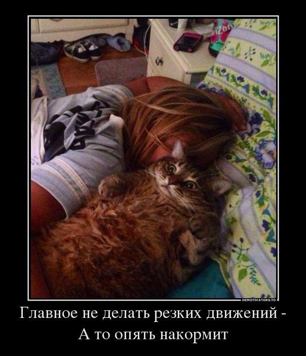 Весёлые картинки
