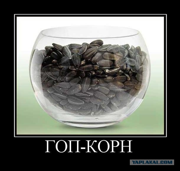 Веселые картинки