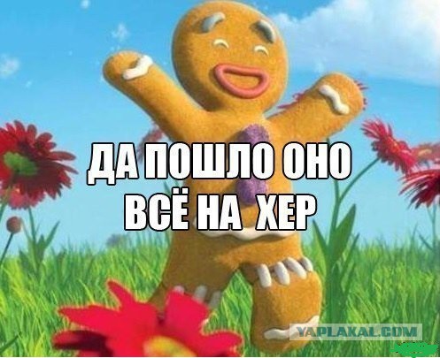 Подарки под рублевской елкой