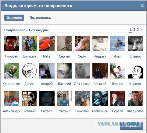 Веб-камеры на избирательных участках