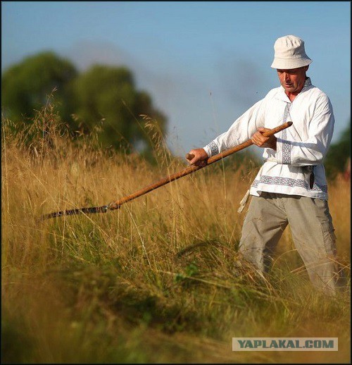 Наше детство в деревне это: